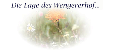 Wengererhof